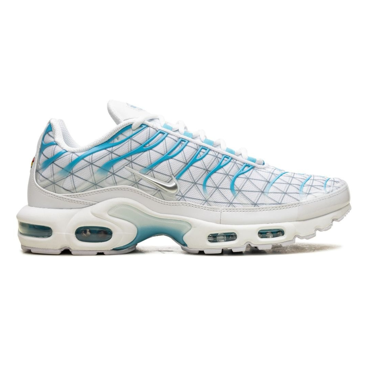 Nike Air Max Plus "Marseille"