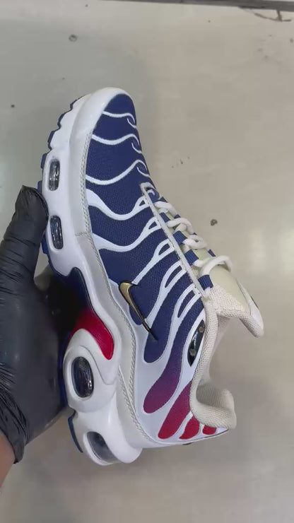Nike Air Max Plus "Paris Saint Germain"