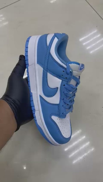 Nike Sb Dunk Low "blue and white"