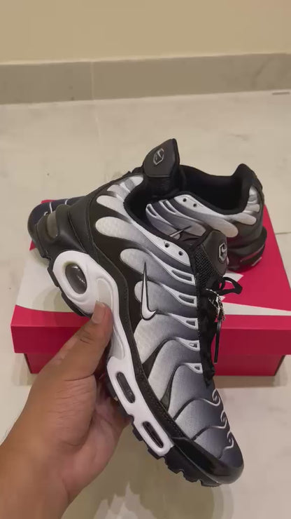 Nike Air Max Plus "Black Silver"